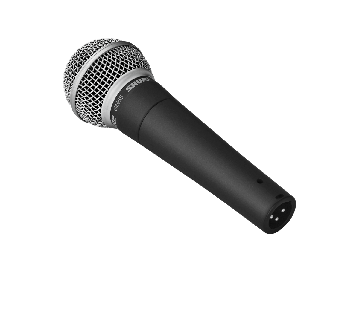 Shure SM58-LC Microphone – Massimo Accordions