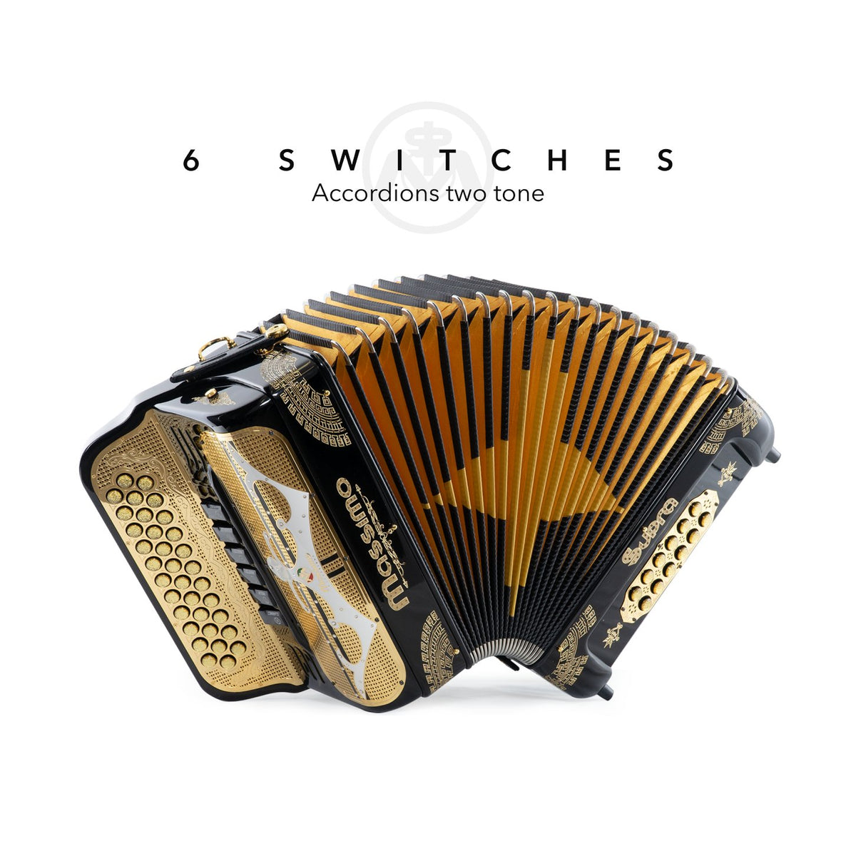 Accordions 2 tone or 6 Switches – Tagged 