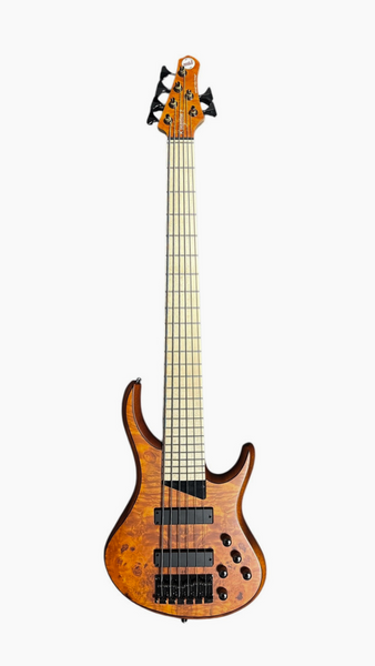 MTD KINGSTON Z-6 / Amber