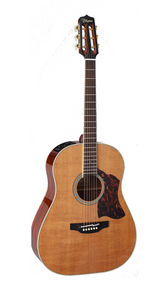 Takamine CRN-TS1 / guitar