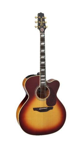 Takamine EF250TK / Guitar