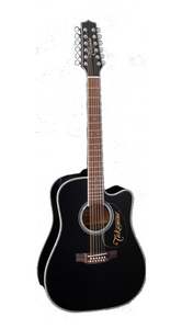 Takamine EF381DX / 12 string guitar