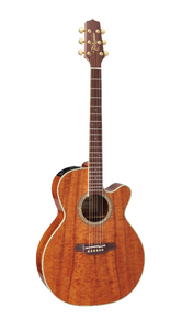 Takamine EF508KC / guitar