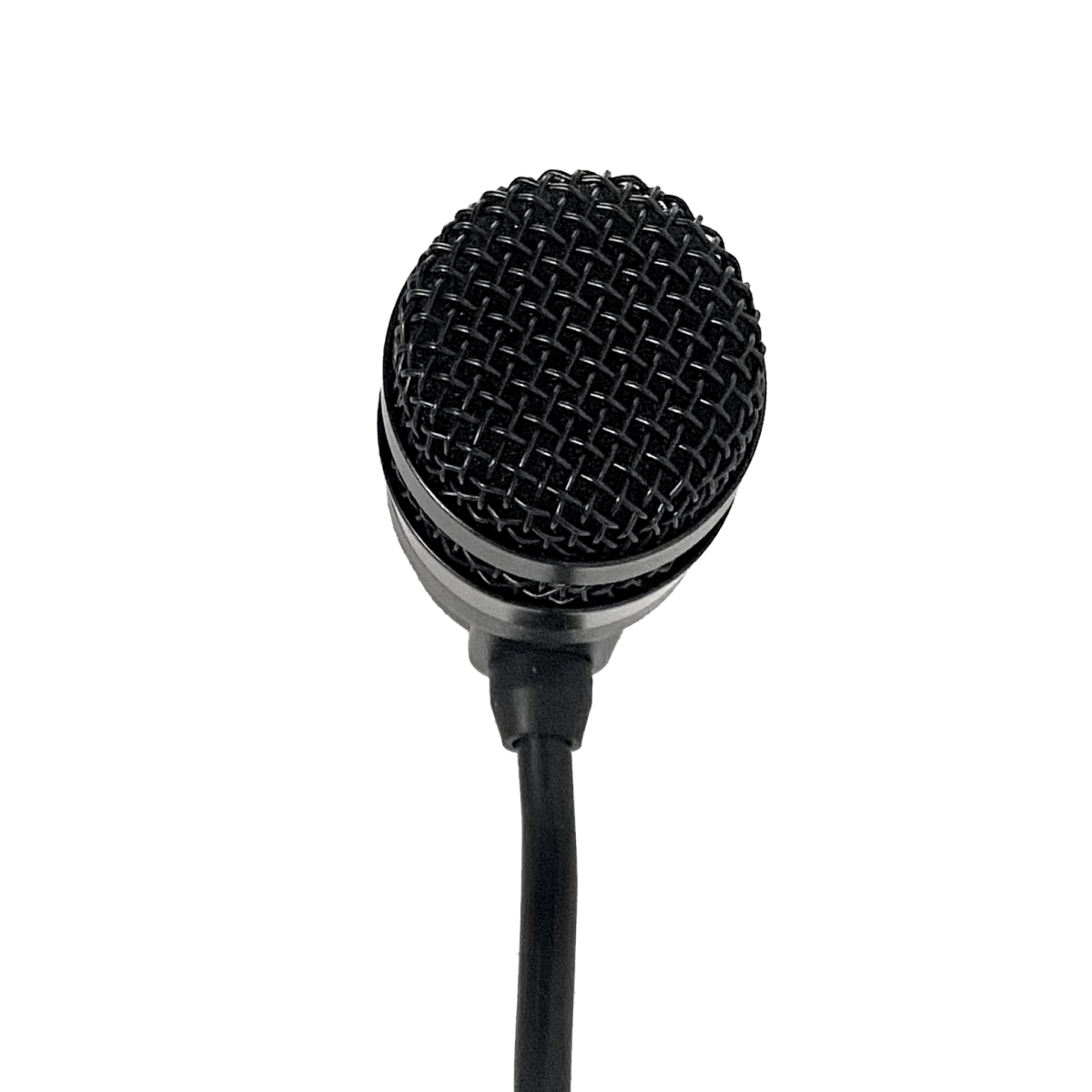 MASIV 2 Fly Microphone – Massimo Accordions
