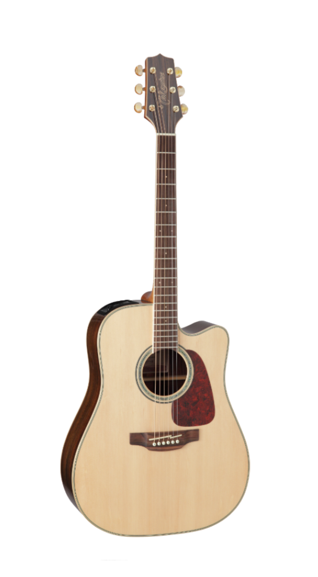 Takamine D21-WR DragonSeries アコースティックギター Takamine D21 Takamine D21-WR DragonSeries アコースティックギター Takamine D21