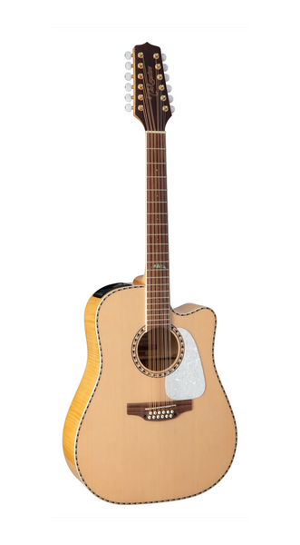Takamine GD74CE 12-string