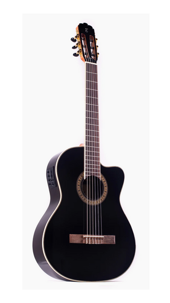 Tagima WS 12 EQ / Black