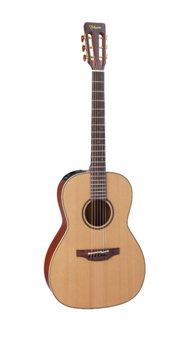 Takamine P3NY / Guitar