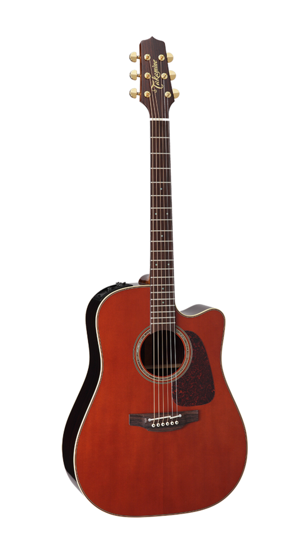 Takamine P5DC WB / Guitar
