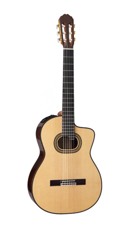 Takamine TH90 / Guitar