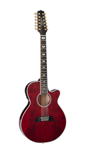Takamine TSP158C-12 STR / 12 string guitar
