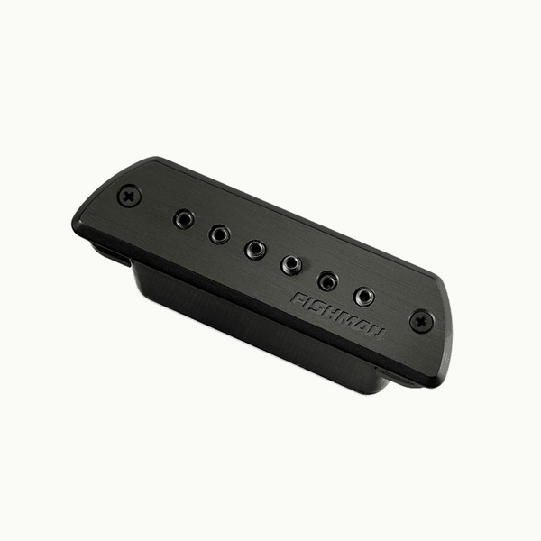 Fishman Blackstack passive