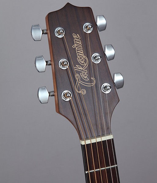 Takamine GD11MCE-NS